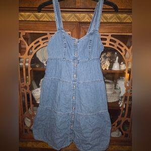 Levis Denim Button-Down Dress